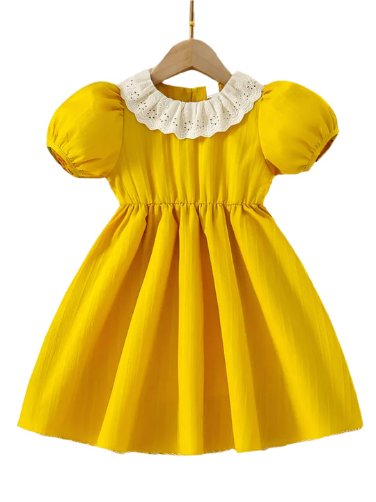 Embroidered Flowers Holiday Party Dress Girl